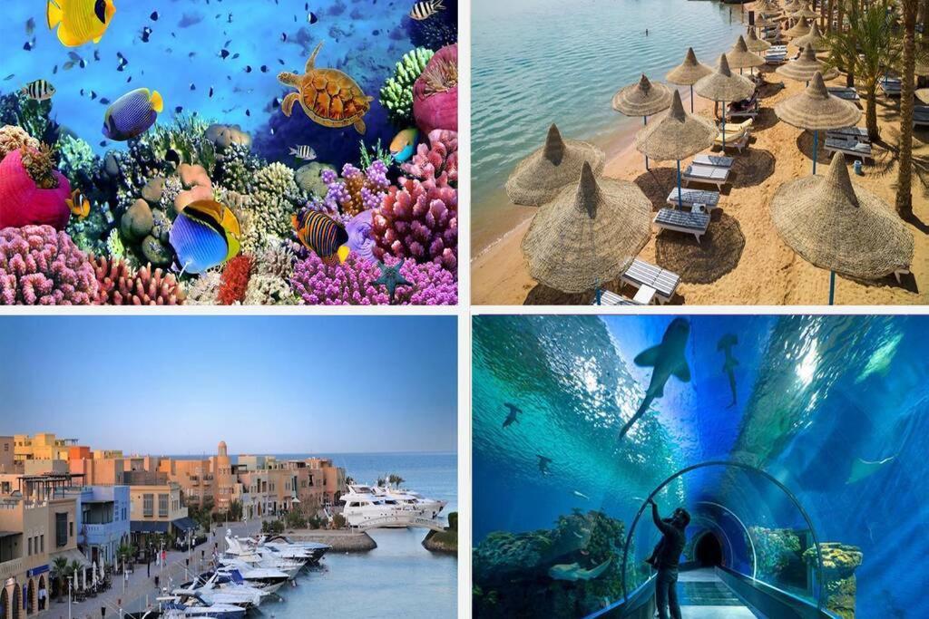 201Sheraton Plaza Hurghada Exterior photo