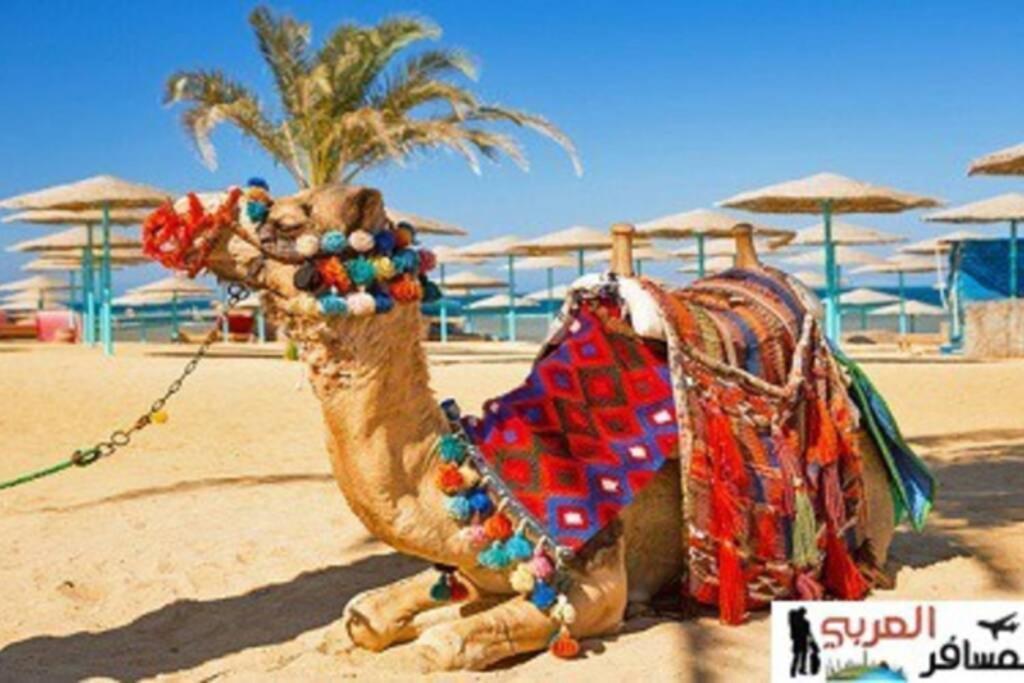 201Sheraton Plaza Hurghada Exterior photo